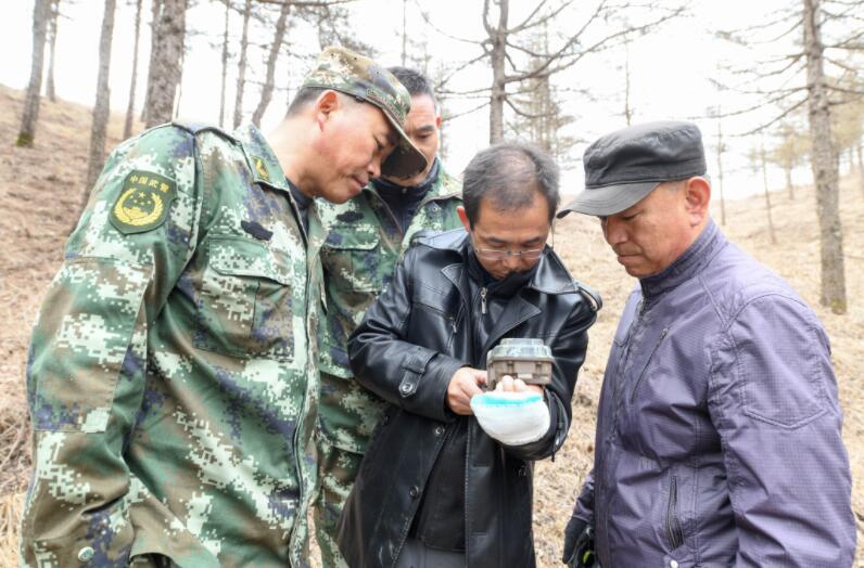 六盘山寻狼记