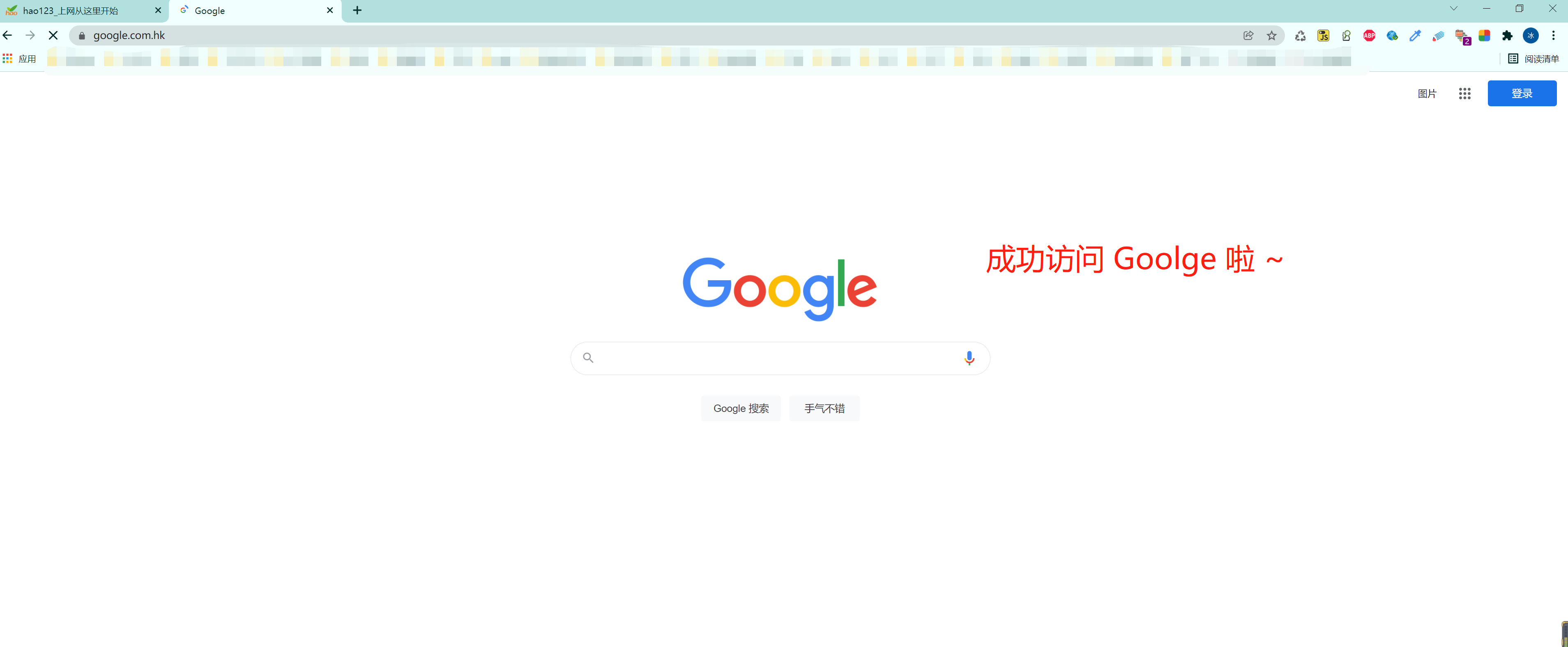 成功访问Google啦