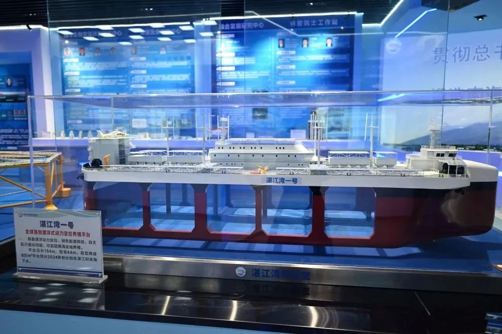 “湛江湾一号”模型图。
